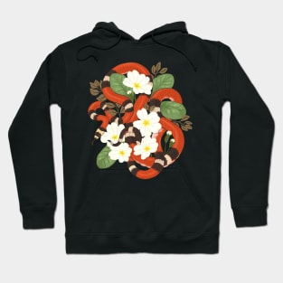 Honduran Milk Snake and Primroses Hoodie